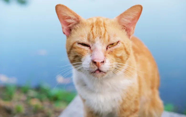 Profile Picture Size - PFP for Social Media (Best Ideas)